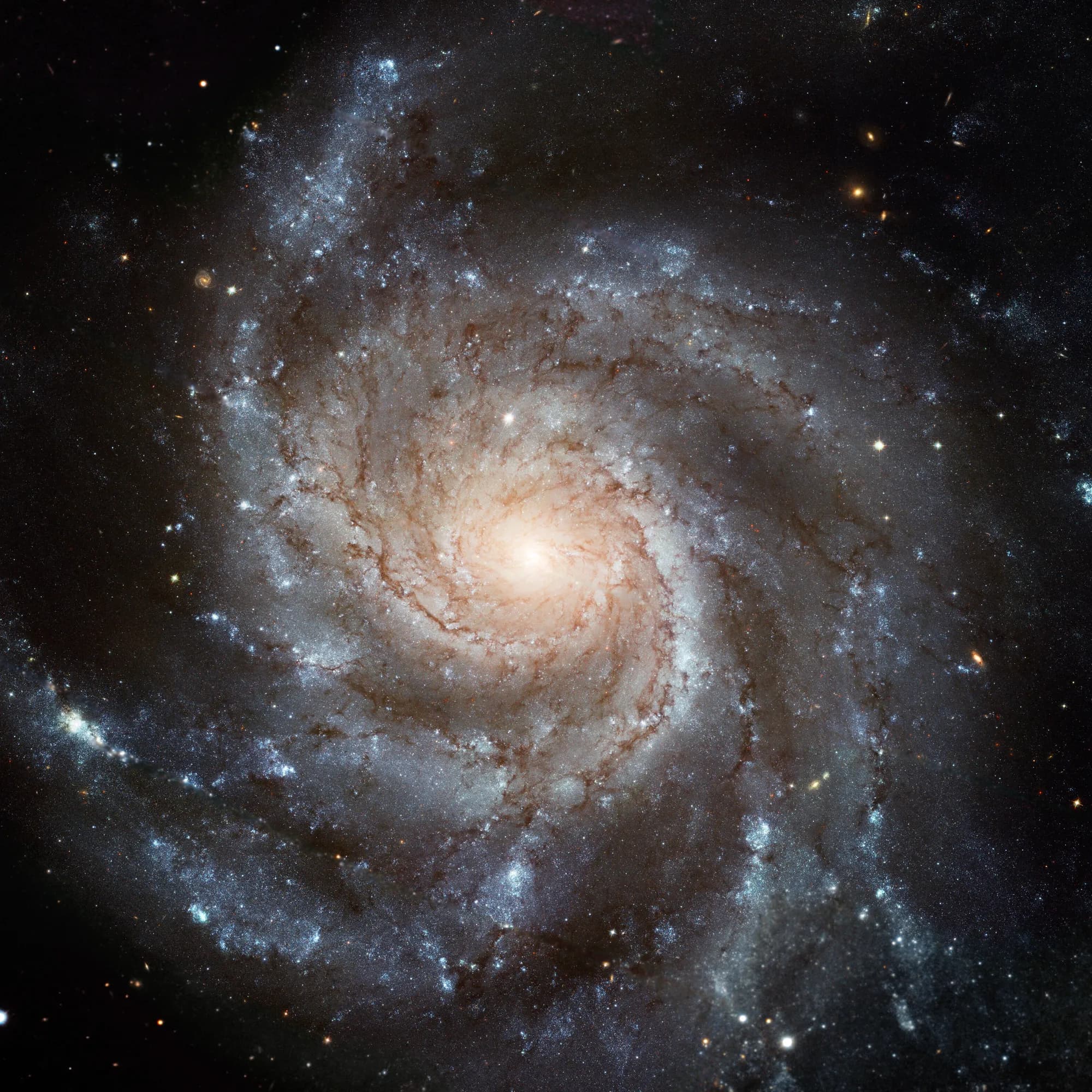 L'univers de partenaires de NOES